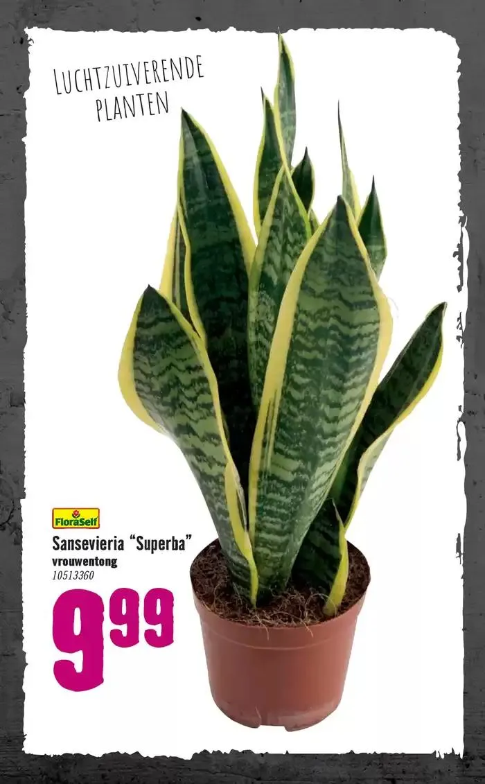 Hornbach folder van 7 januari tot 14 januari 2025 - Folder pagina 78