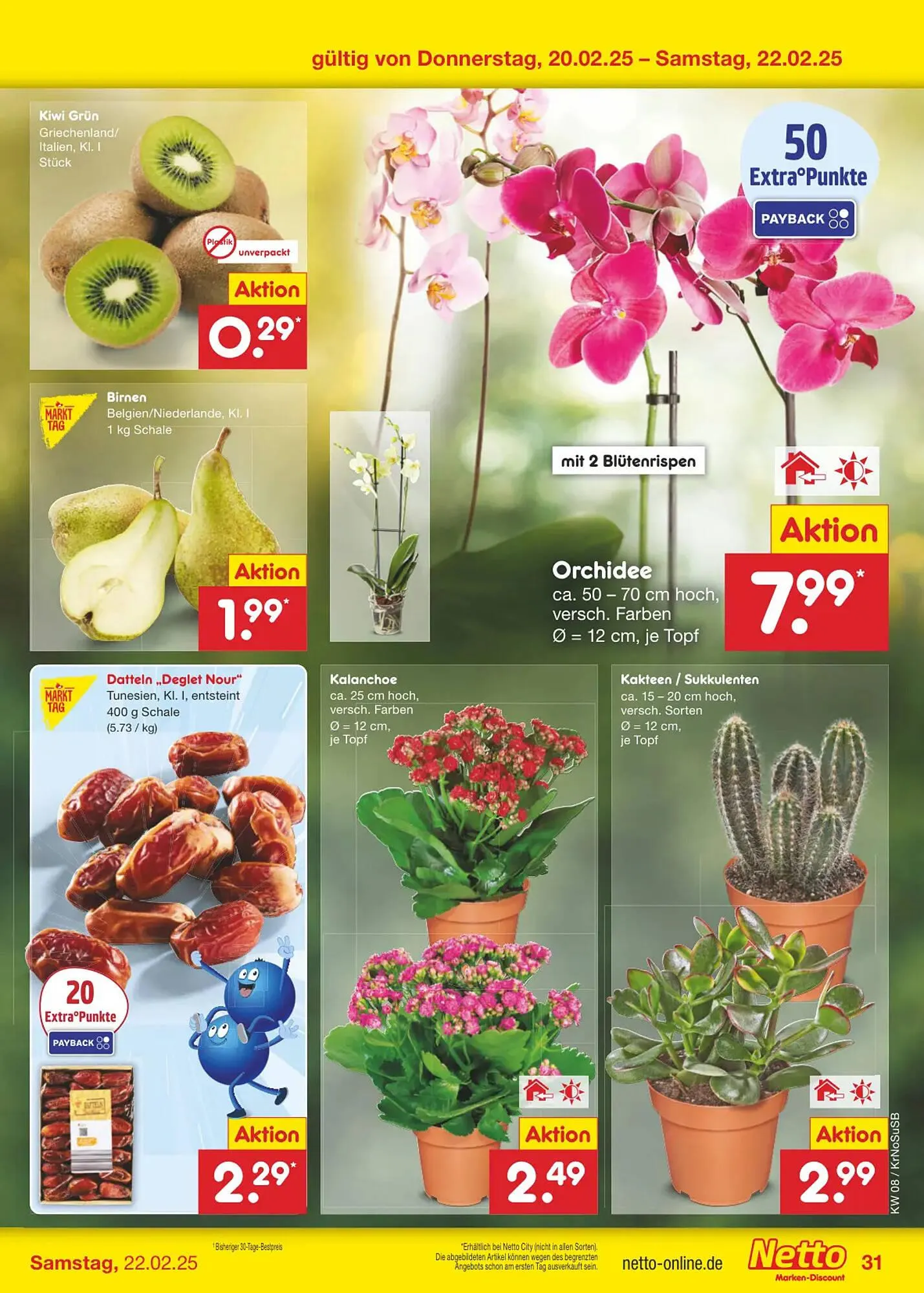 Netto Marken-Discount DE folder van 17 februari tot 22 februari 2025 - Folder pagina 51