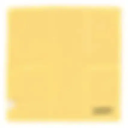 Microvezel lak 35x35cm Dunlop