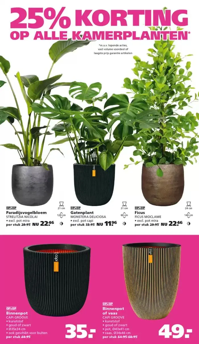 Ranzijn folder van 29 december tot 12 januari 2025 - Folder pagina 3