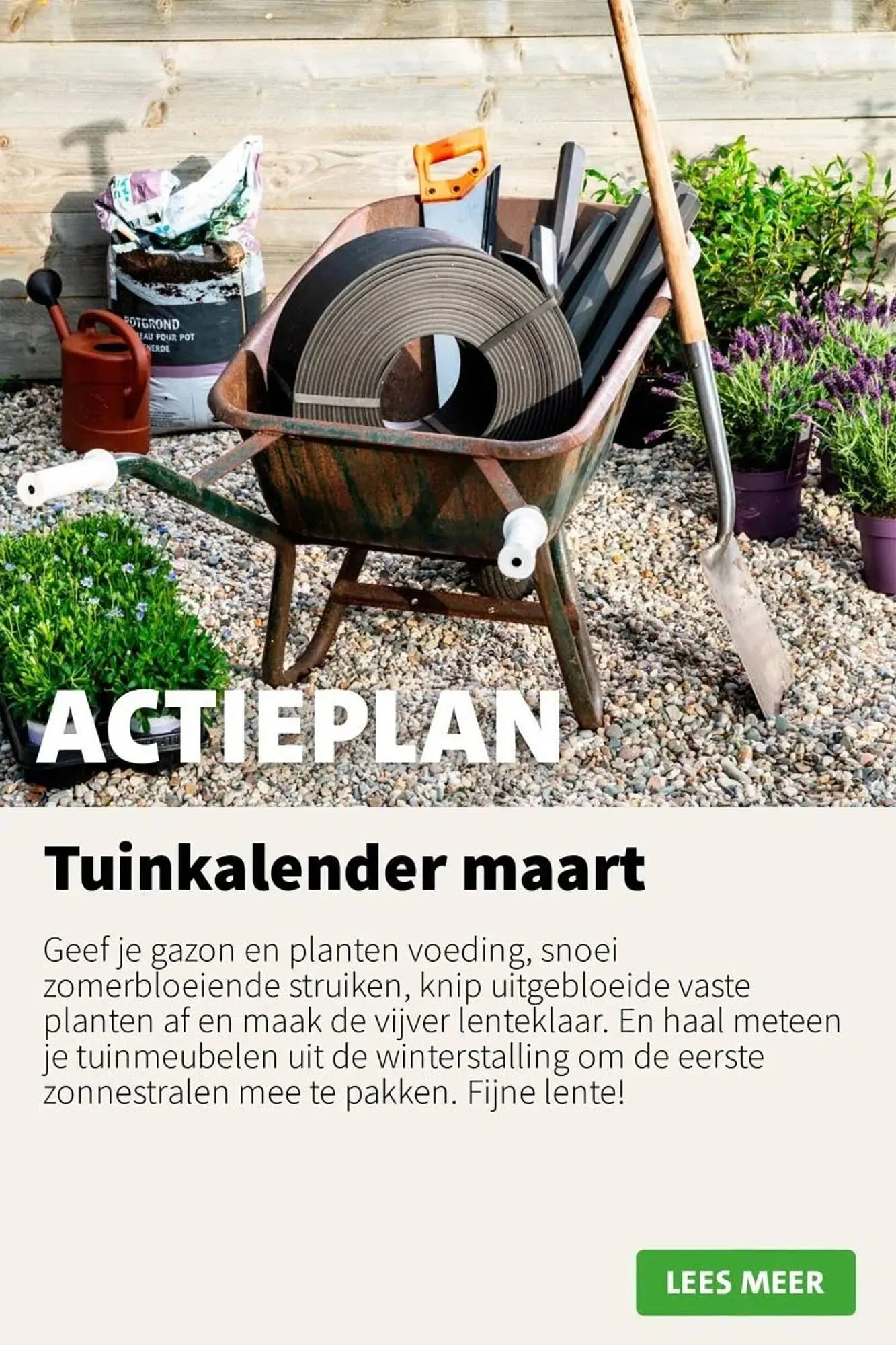 Intratuin folder van 10 maart tot 16 maart 2025 - Folder pagina 11