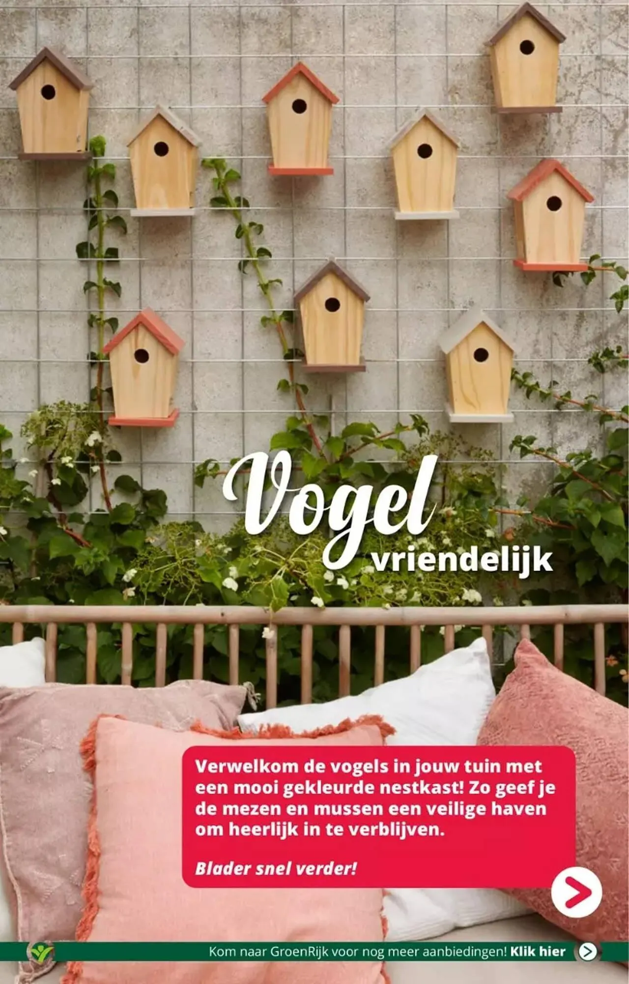 GroenRijk folder van 30 augustus tot 5 september 2023 - Folder pagina 14