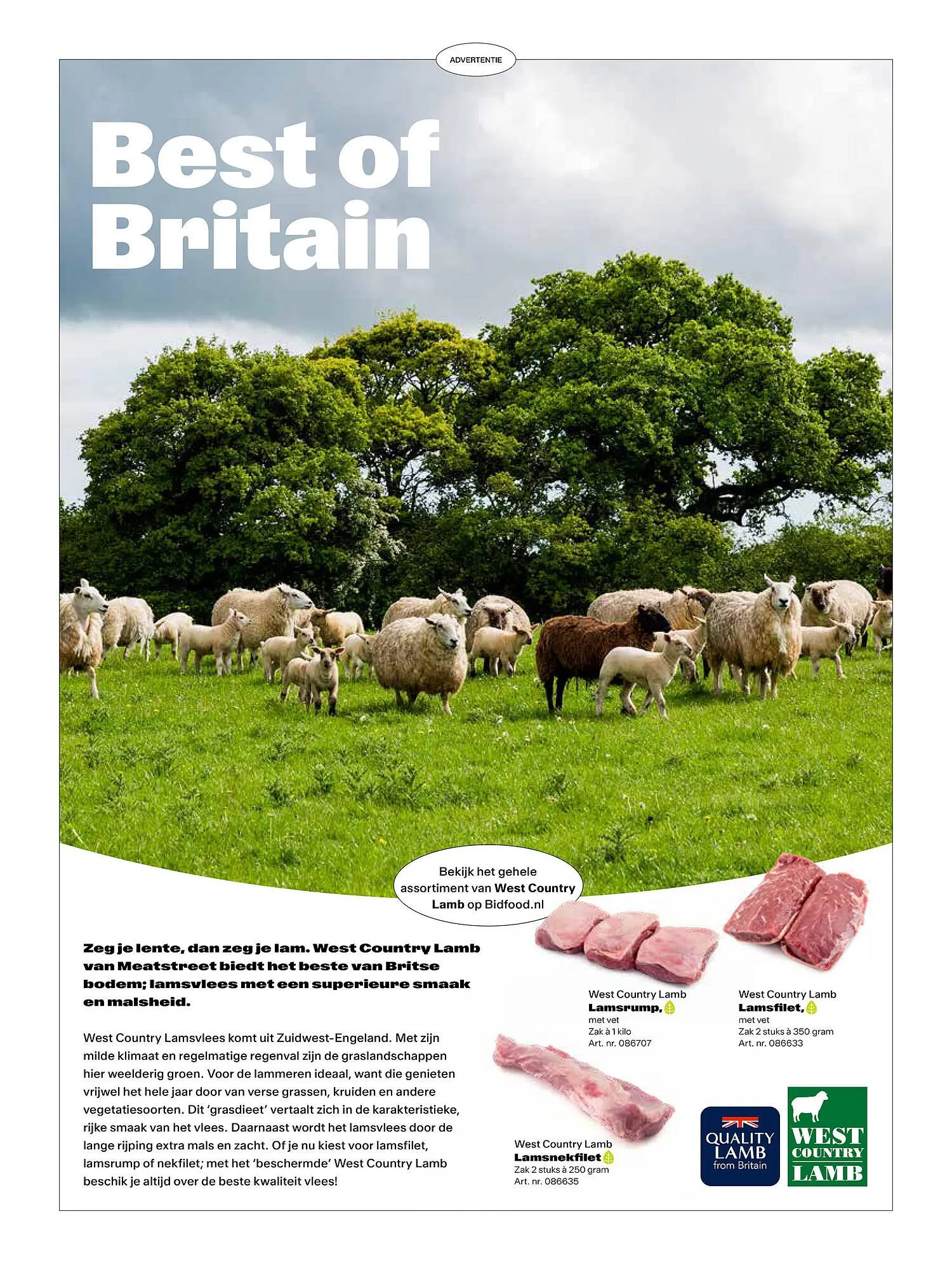 Bidfood folder van 1 mei tot 31 augustus 2025 - Folder pagina 46