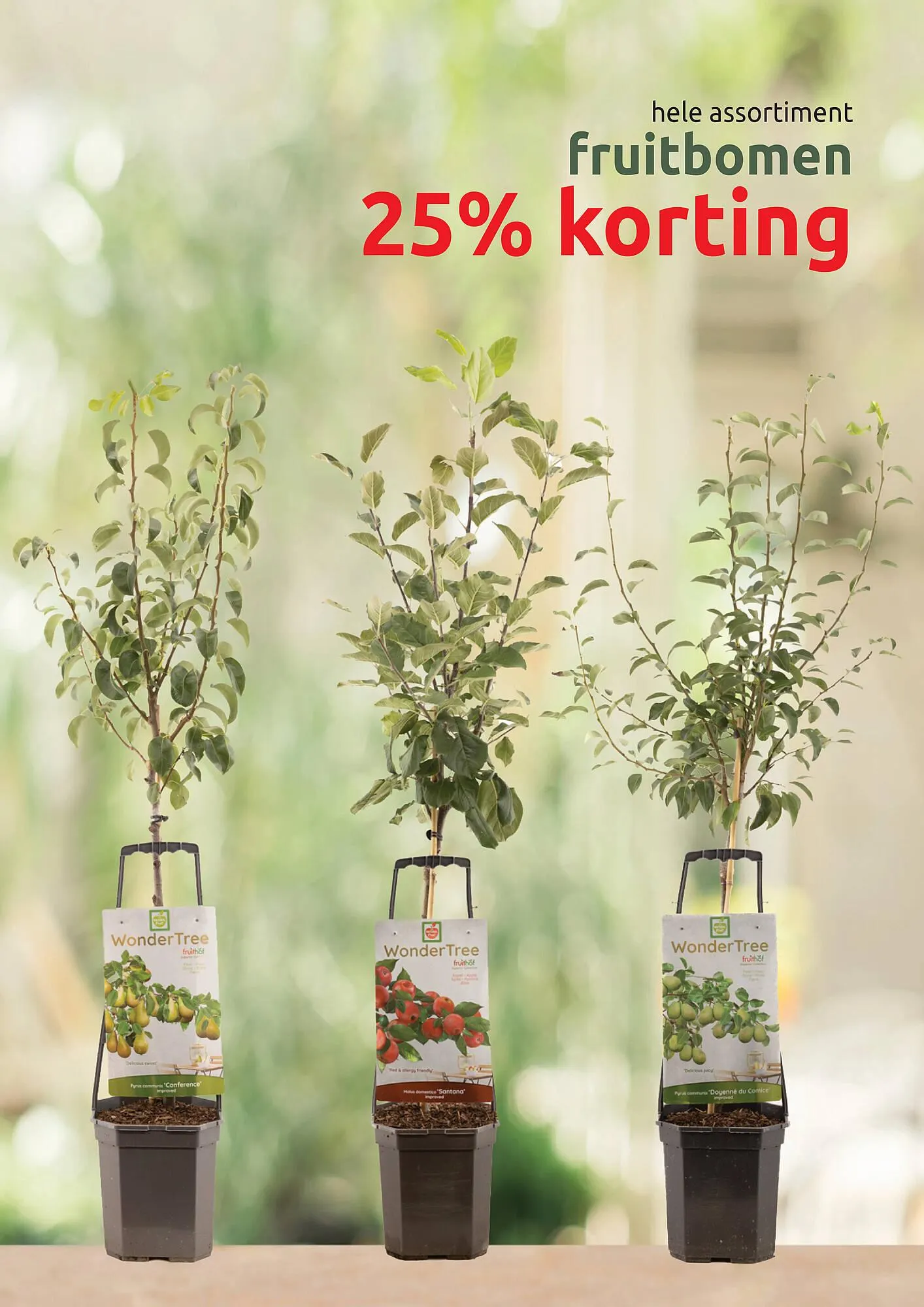 Deka Tuin folder van 3 maart tot 15 maart 2025 - Folder pagina 13