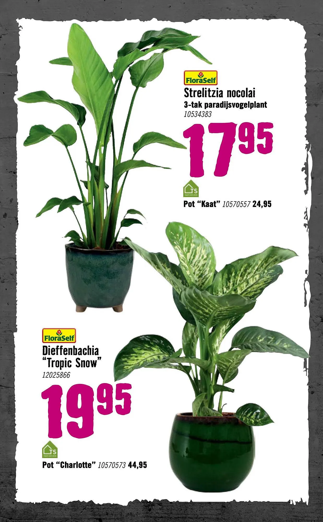 Hornbach folder van 5 januari tot 8 februari 2026 - Folder pagina 78