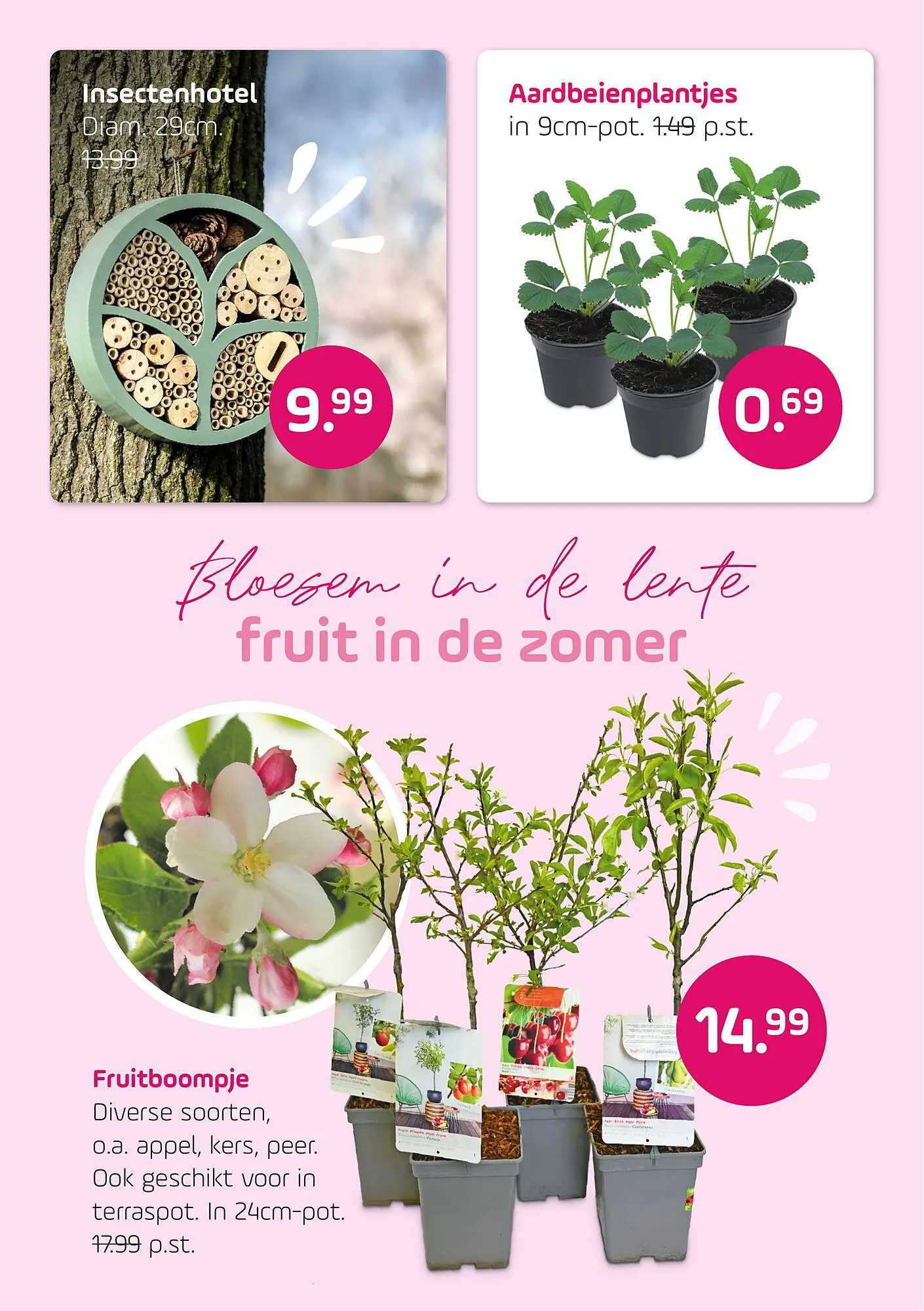 Coppelmans folder van 6 maart tot 15 maart 2026 - Folder pagina 3