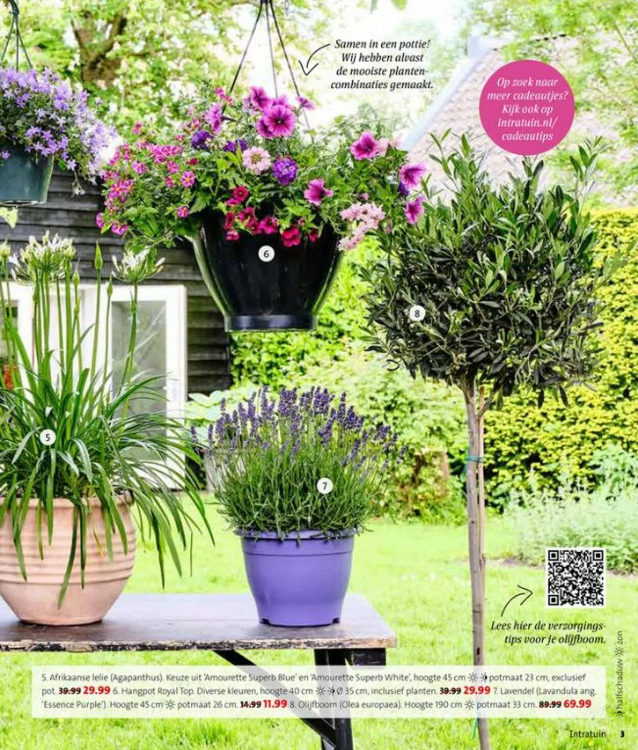 Intratuin Actuele folder van 14 september tot 28 september 2025 - Folder pagina 3