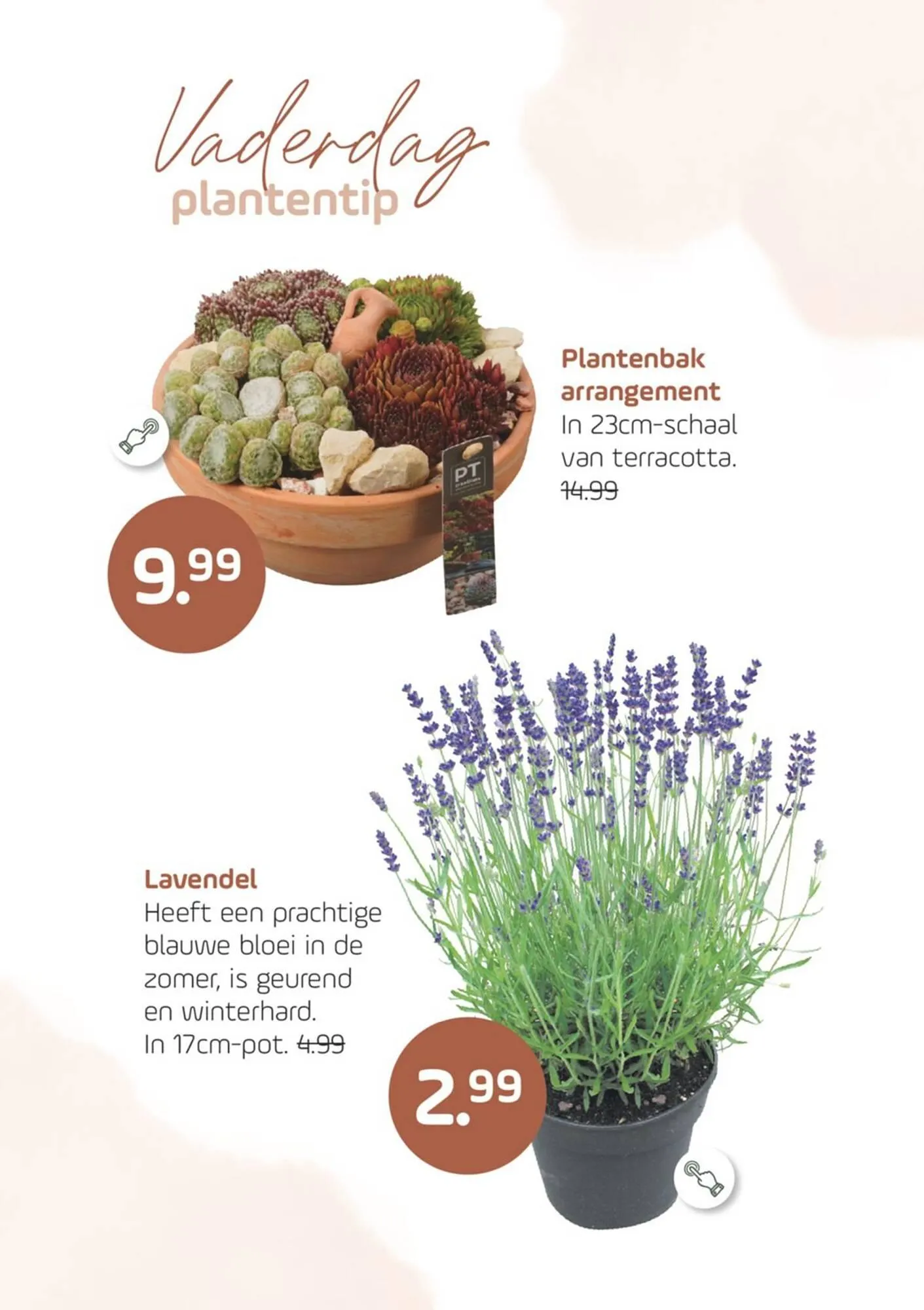 Coppelmans folder van 11 juni tot 22 juni 2025 - Folder pagina 4