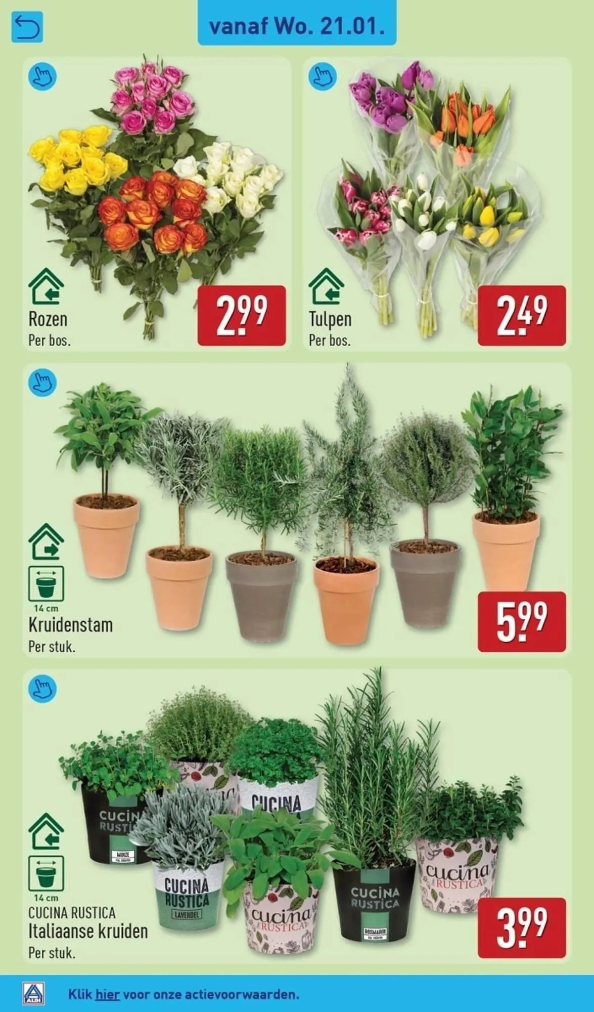 ALDI folder van 19 januari tot 25 januari 2026 - Folder pagina 28