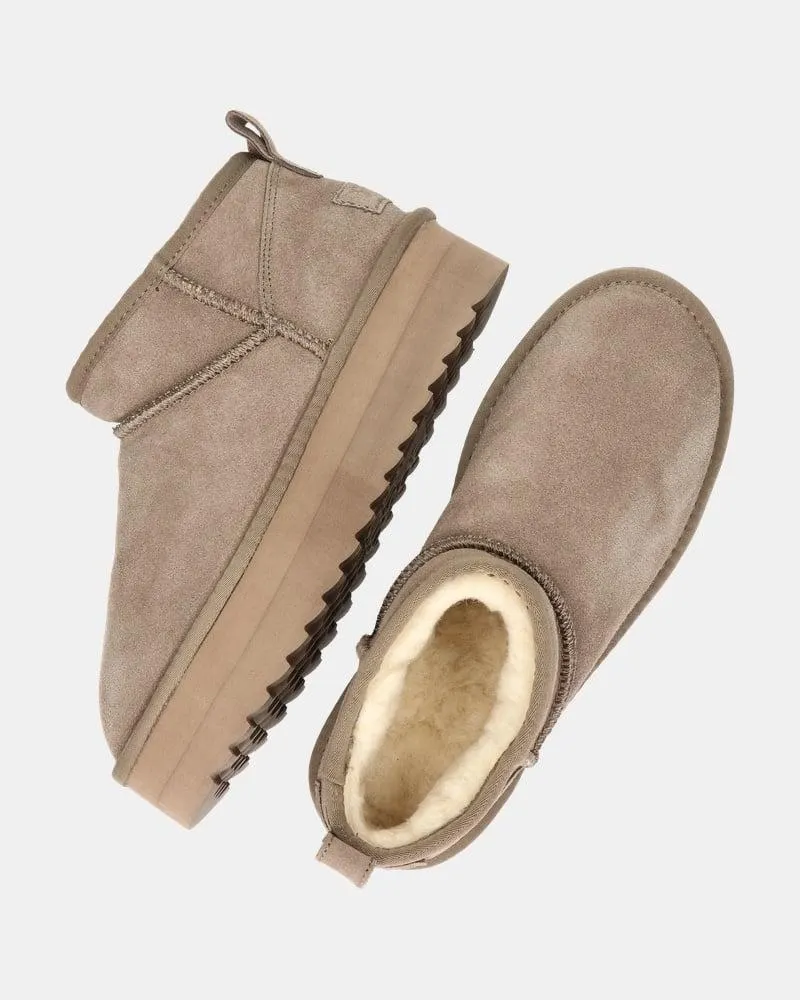 Colors of California