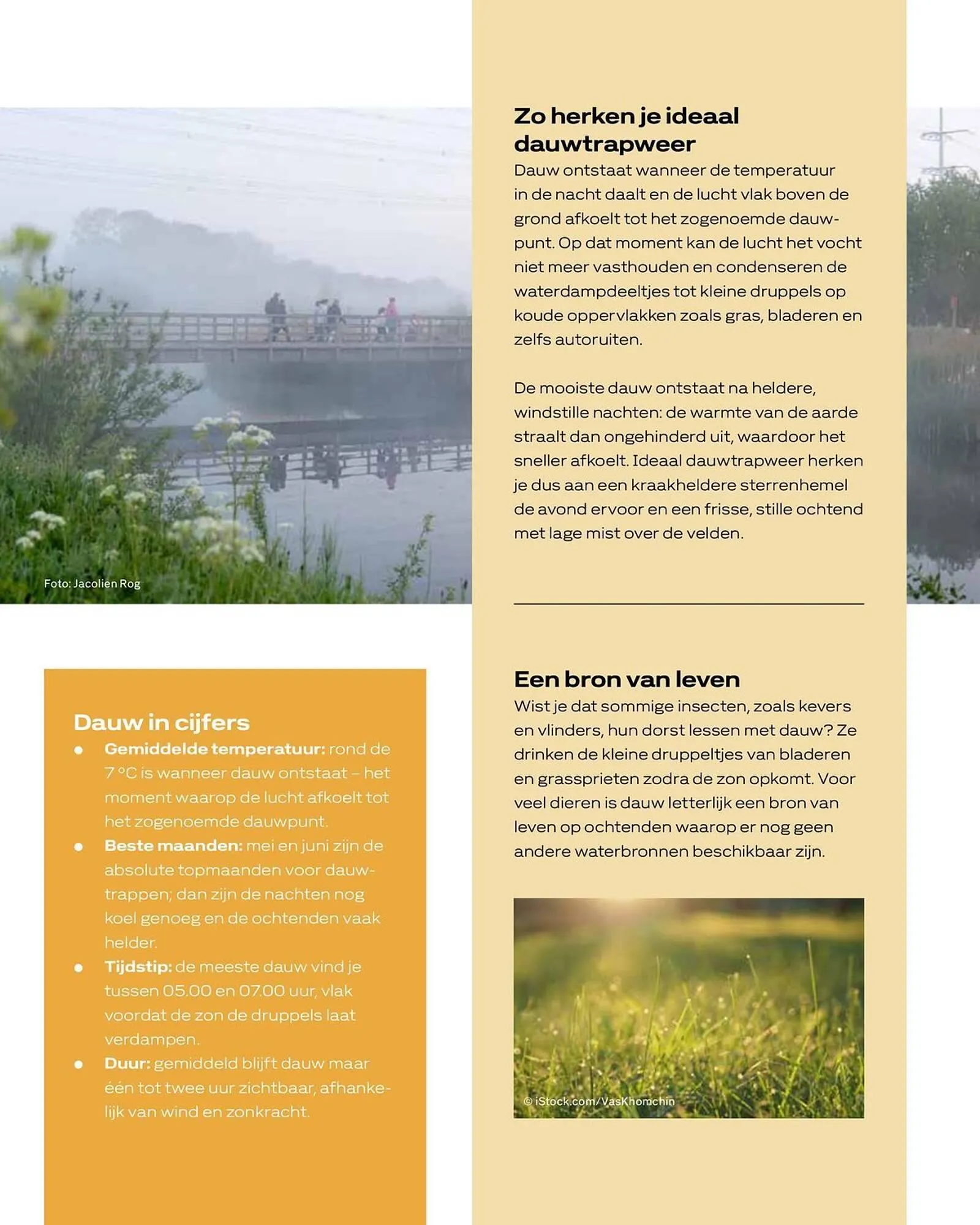 Vakgarage folder van 21 april tot 31 mei 2026 - Folder pagina 31