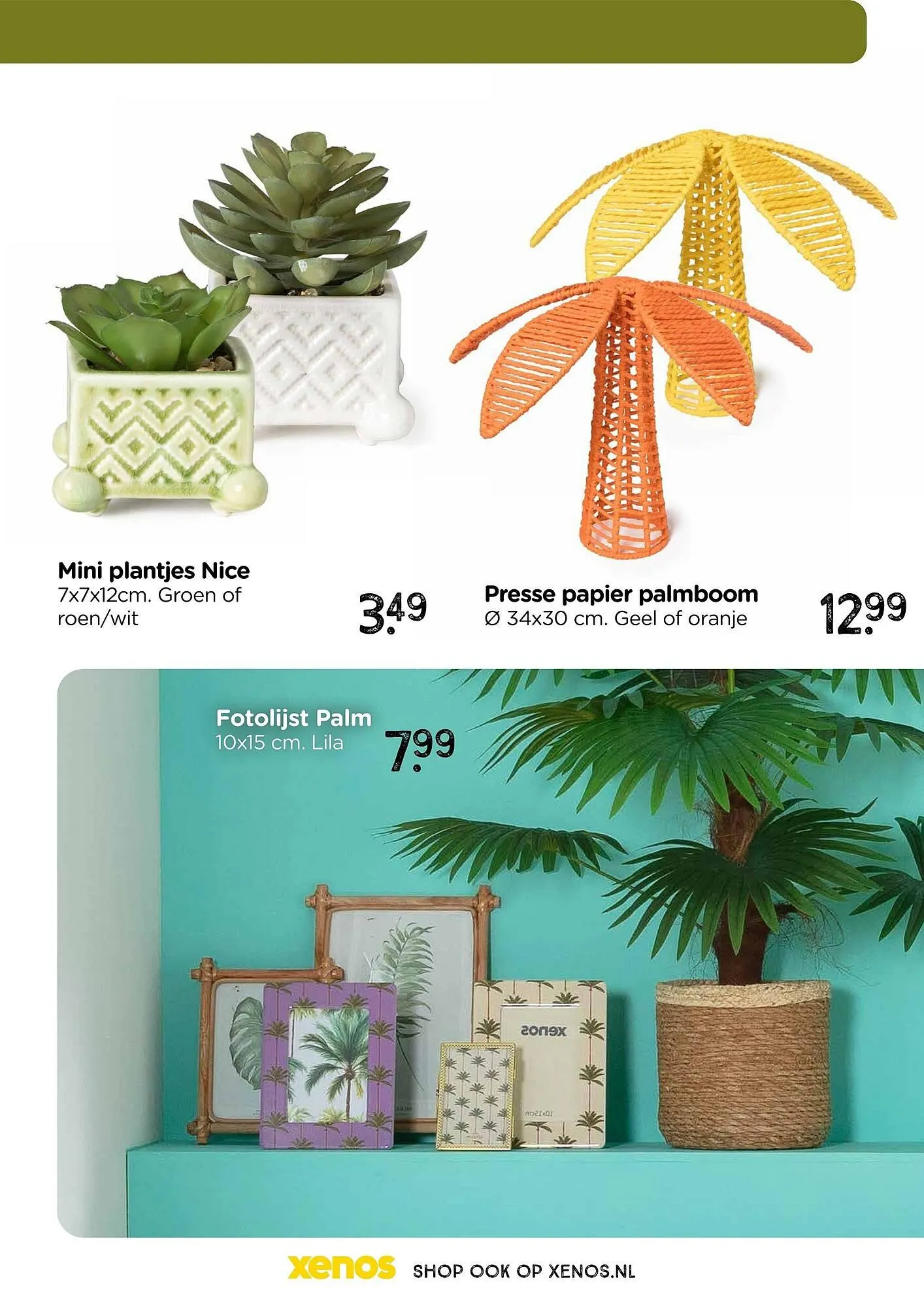 Xenos folder van 26 januari tot 29 maart 2025 - Folder pagina 31