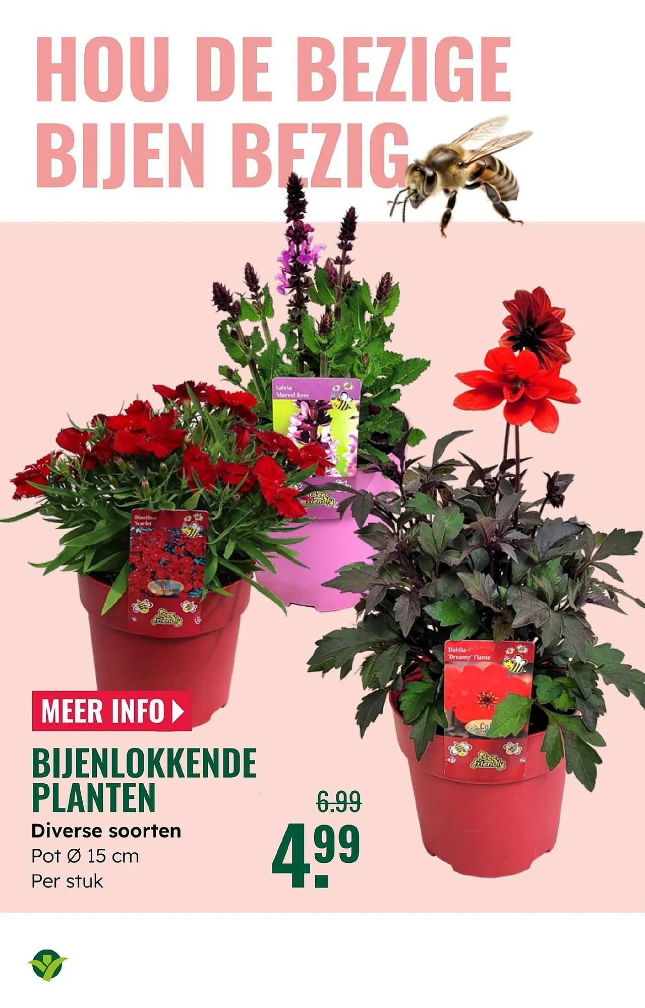 GroenRijk folder van 4 juni tot 17 juni 2025 - Folder pagina 9