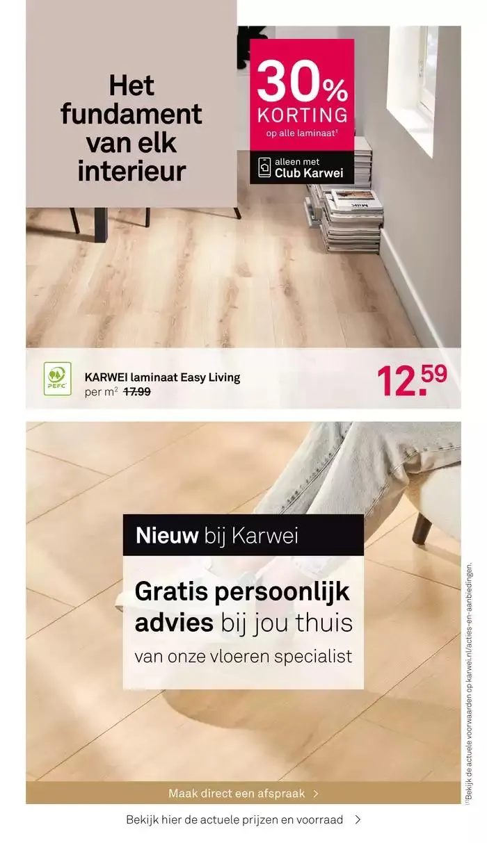 Karwei folder van 27 januari tot 10 februari 2025 - Folder pagina 3