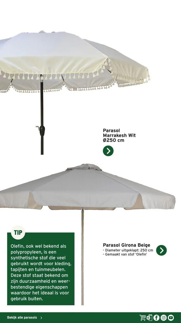 Gamma Decoratief Tuinmagazine 2024 van 4 maart tot 28 februari 2025 - Folder pagina 19