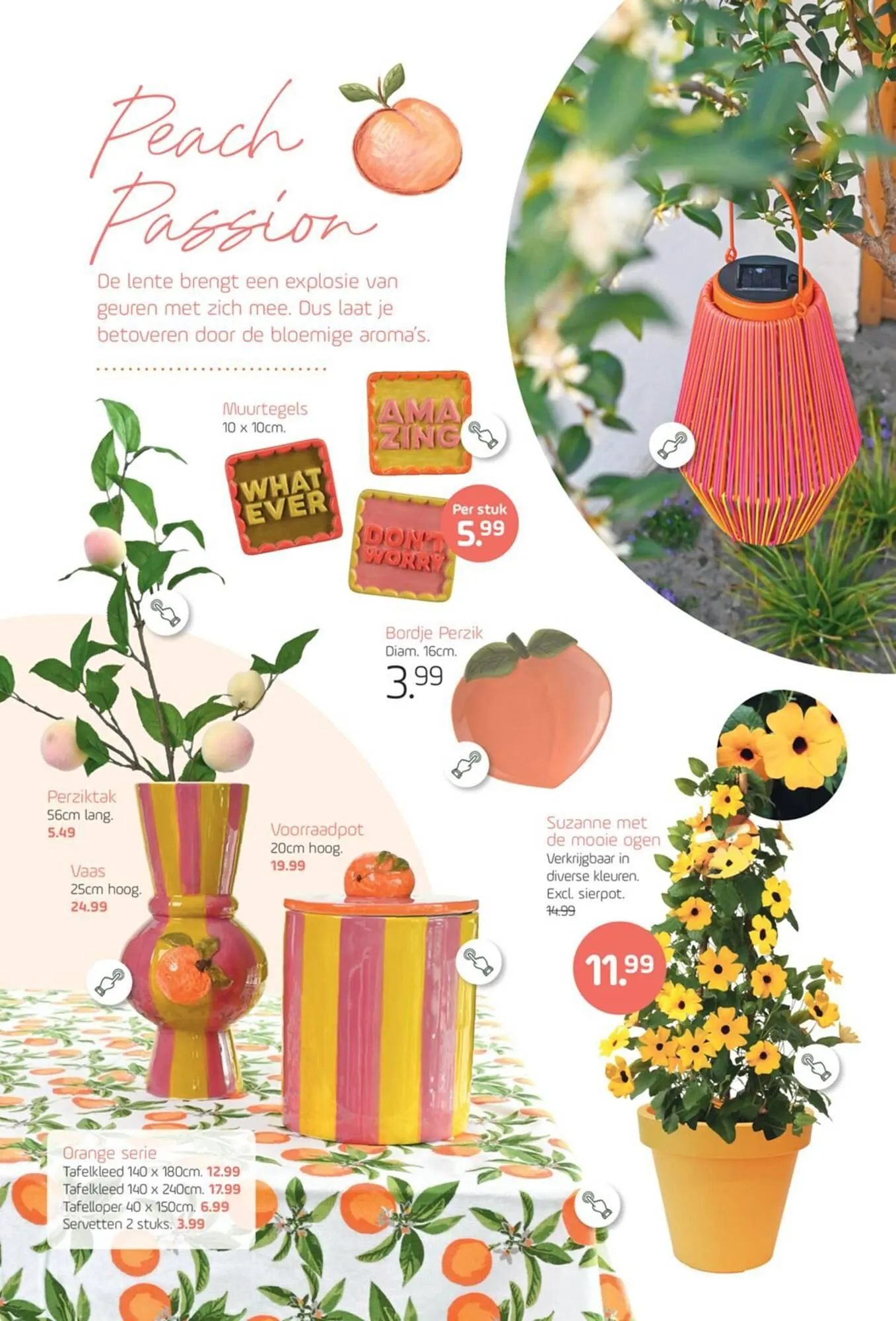 Coppelmans folder van 16 april tot 27 april 2025 - Folder pagina 10