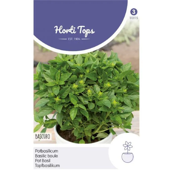 Pot Basilicum