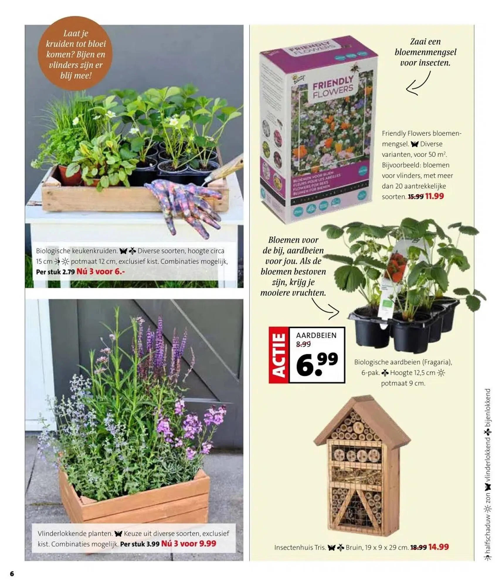 Intratuin folder van 31 maart tot 6 april 2025 - Folder pagina 6