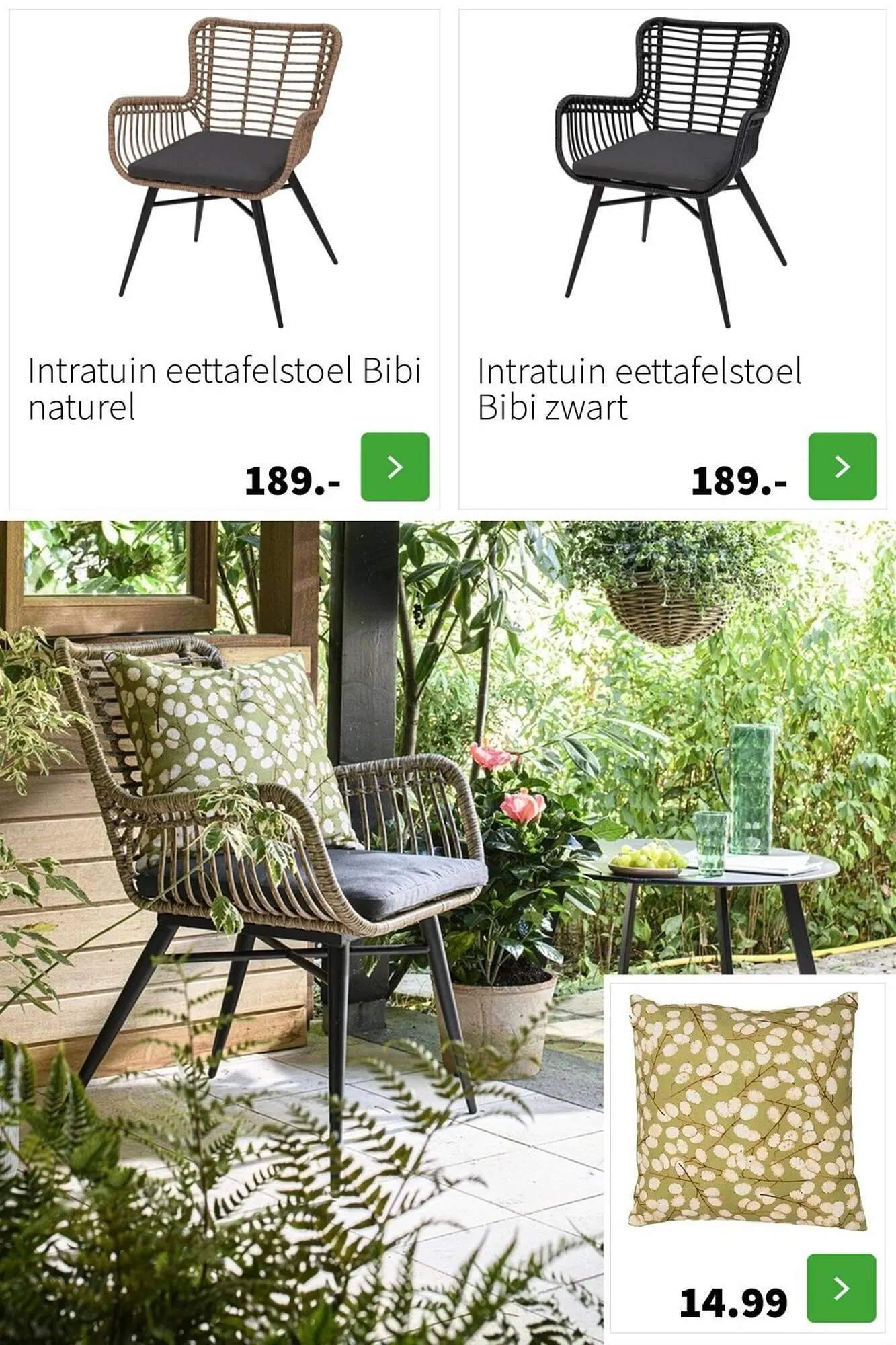 Intratuin folder van 22 maart tot 13 augustus 2023 - Folder pagina 41