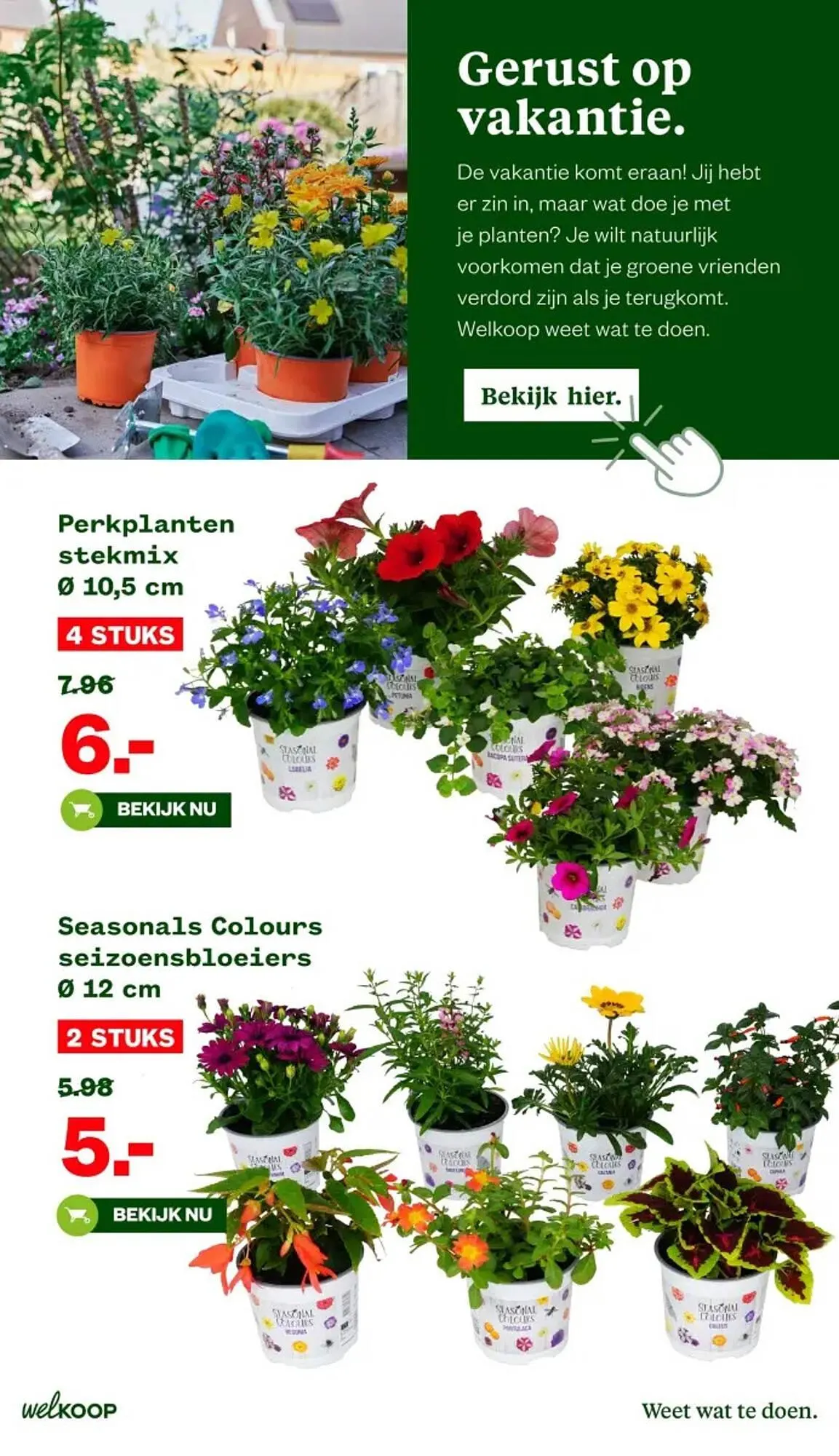 Welkoop folder van 10 juni tot 22 juni 2025 - Folder pagina 11