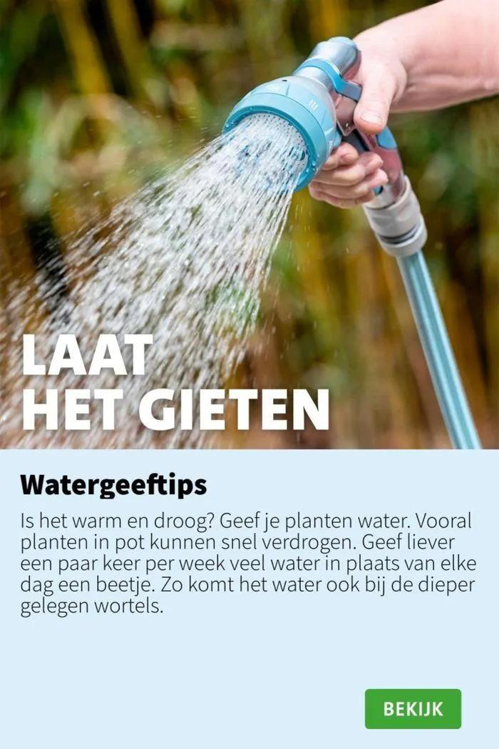 Folder week 29 2024 dyn van 15 juli tot 29 juli 2024 - Folder pagina 6