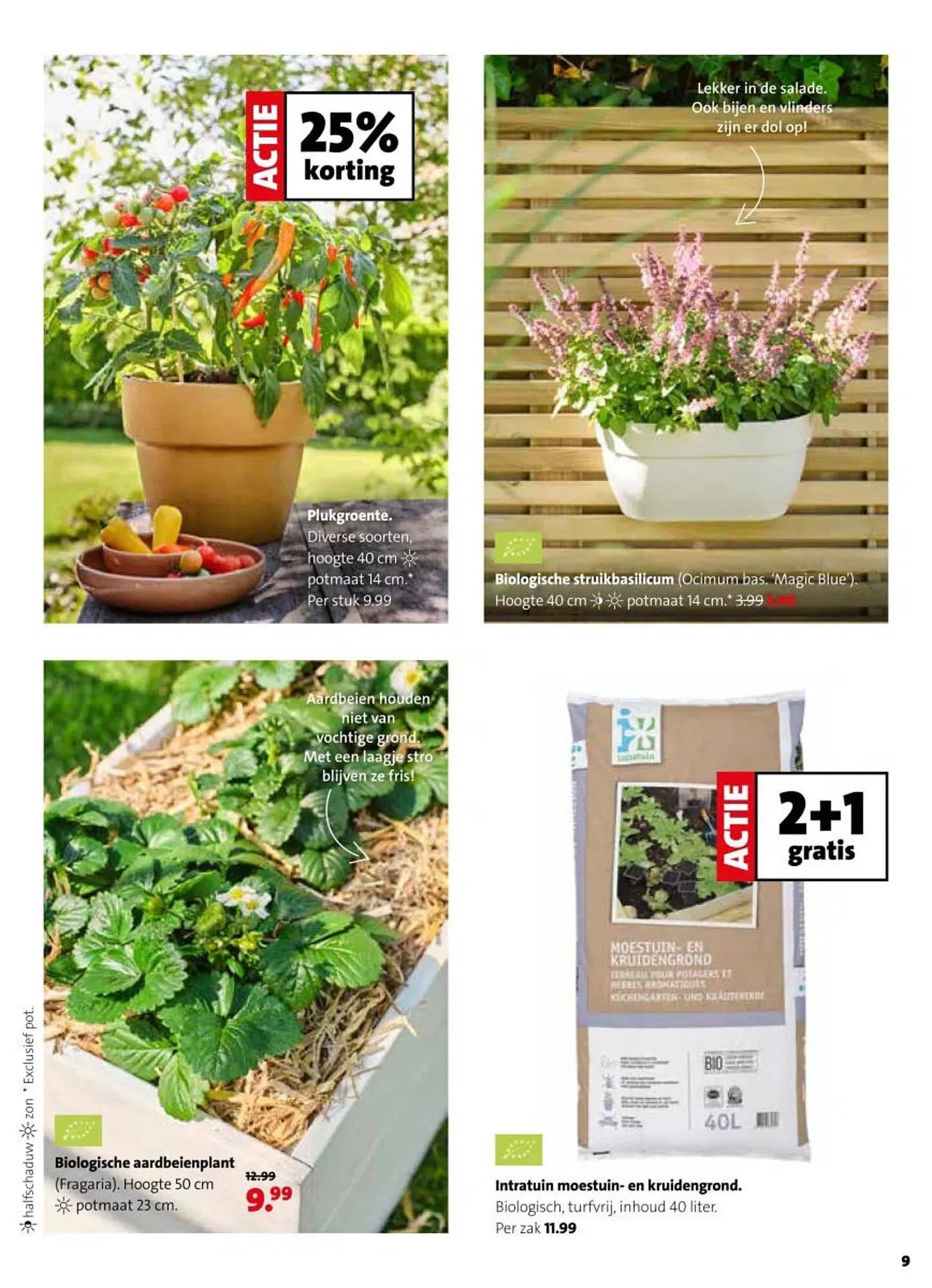 Intratuin folder van 13 april tot 19 april 2026 - Folder pagina 9