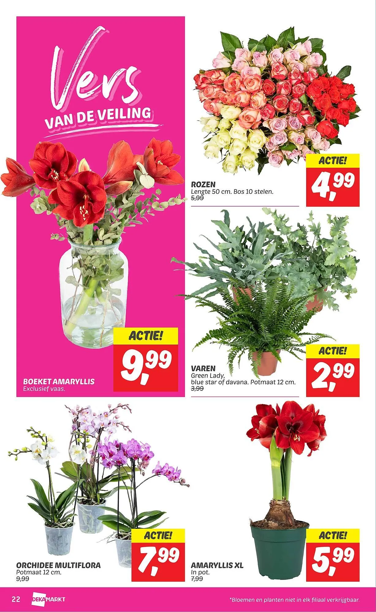 Dekamarkt folder van 12 november tot 18 november 2024 - Folder pagina 22