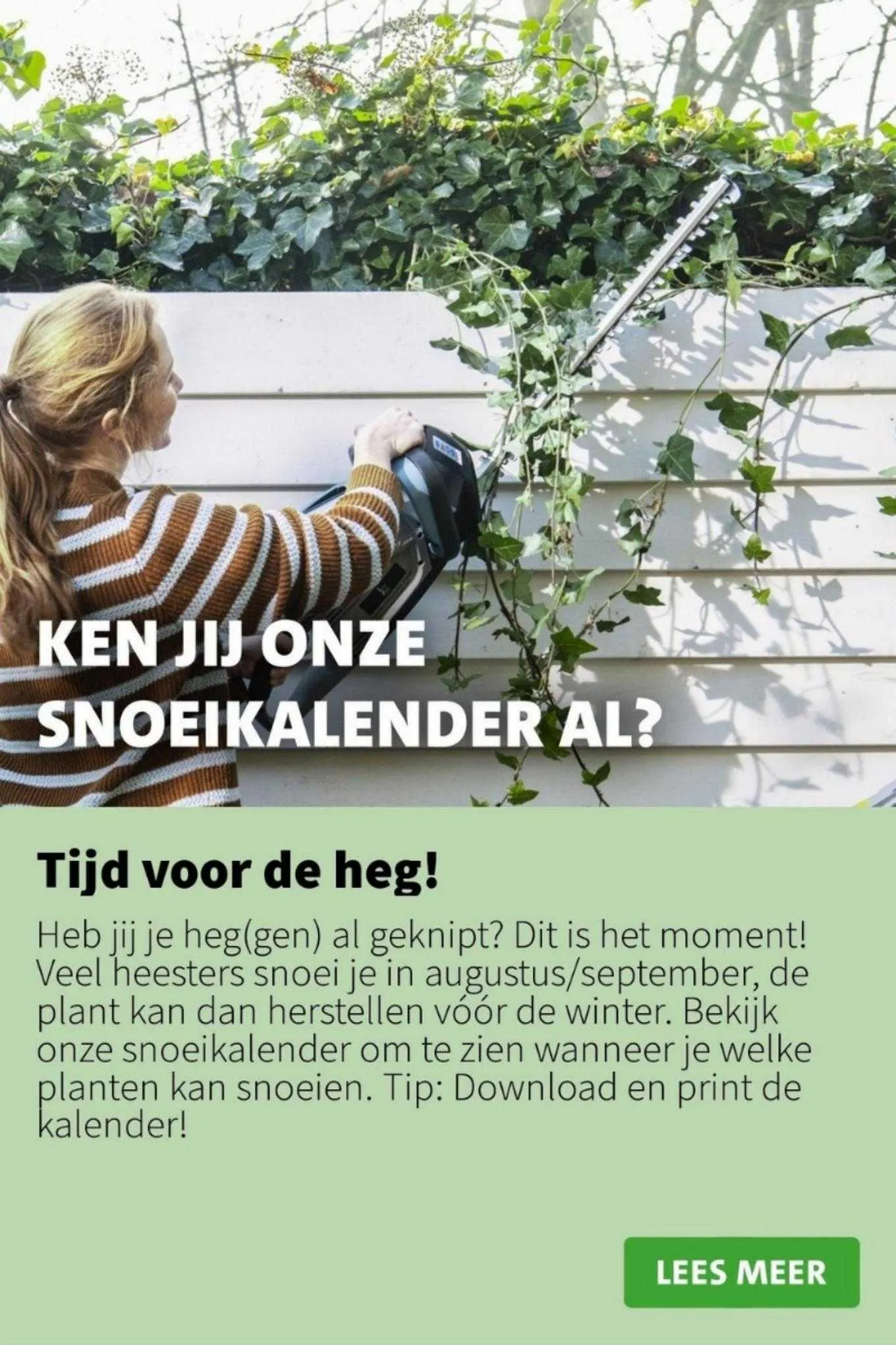 Intratuin Folder van 28 augustus tot 30 augustus 2023 - folder pagina 6