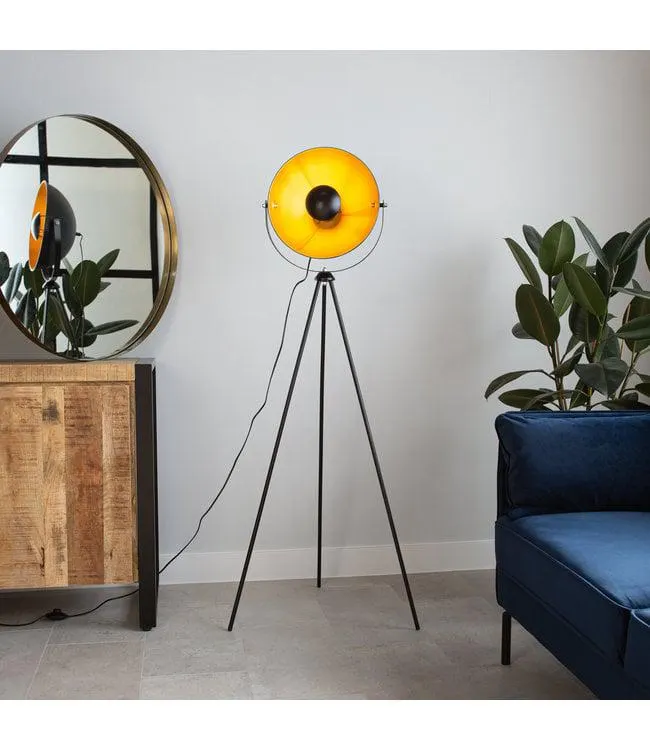 Vloerlamp Fallon zwart-goud