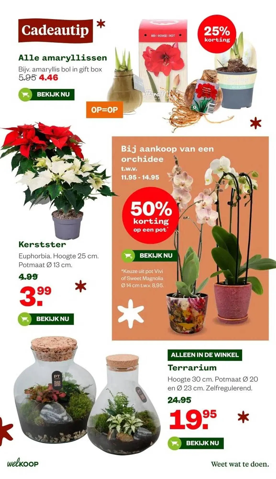 Welkoop folder van 15 december tot 21 december 2025 - Folder pagina 8