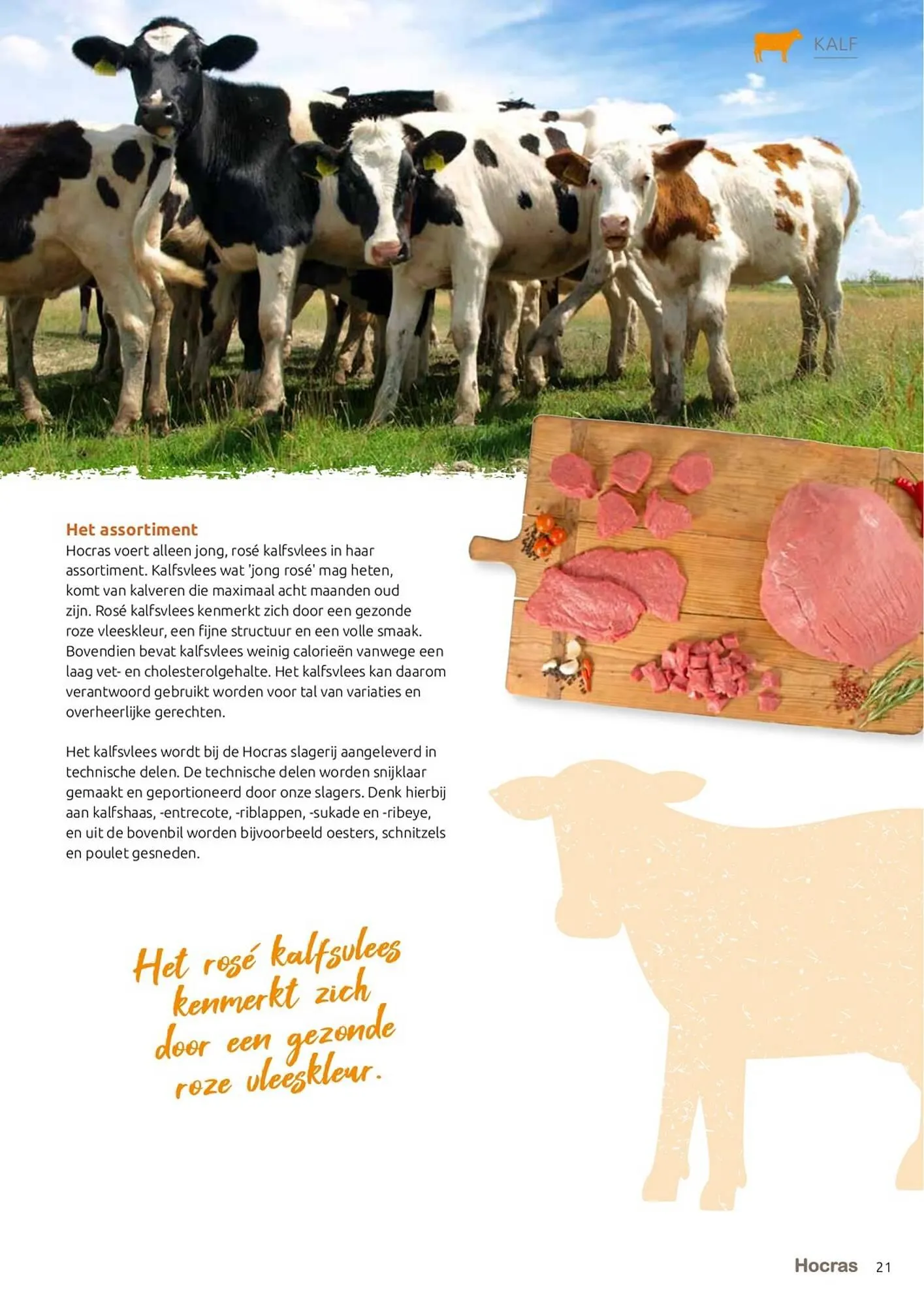 Hocras Vlees folder van 15 februari tot 31 december 2023 - Folder pagina 21