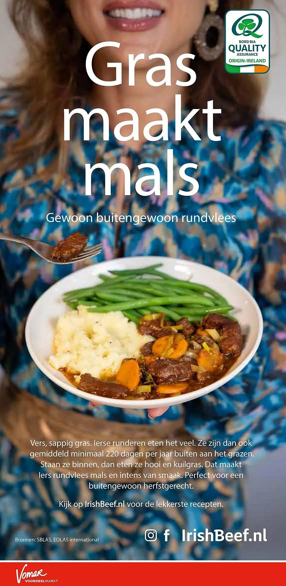 Vomar Voordeelmarkt folder van 20 november tot 22 november 2025 - Folder pagina 29