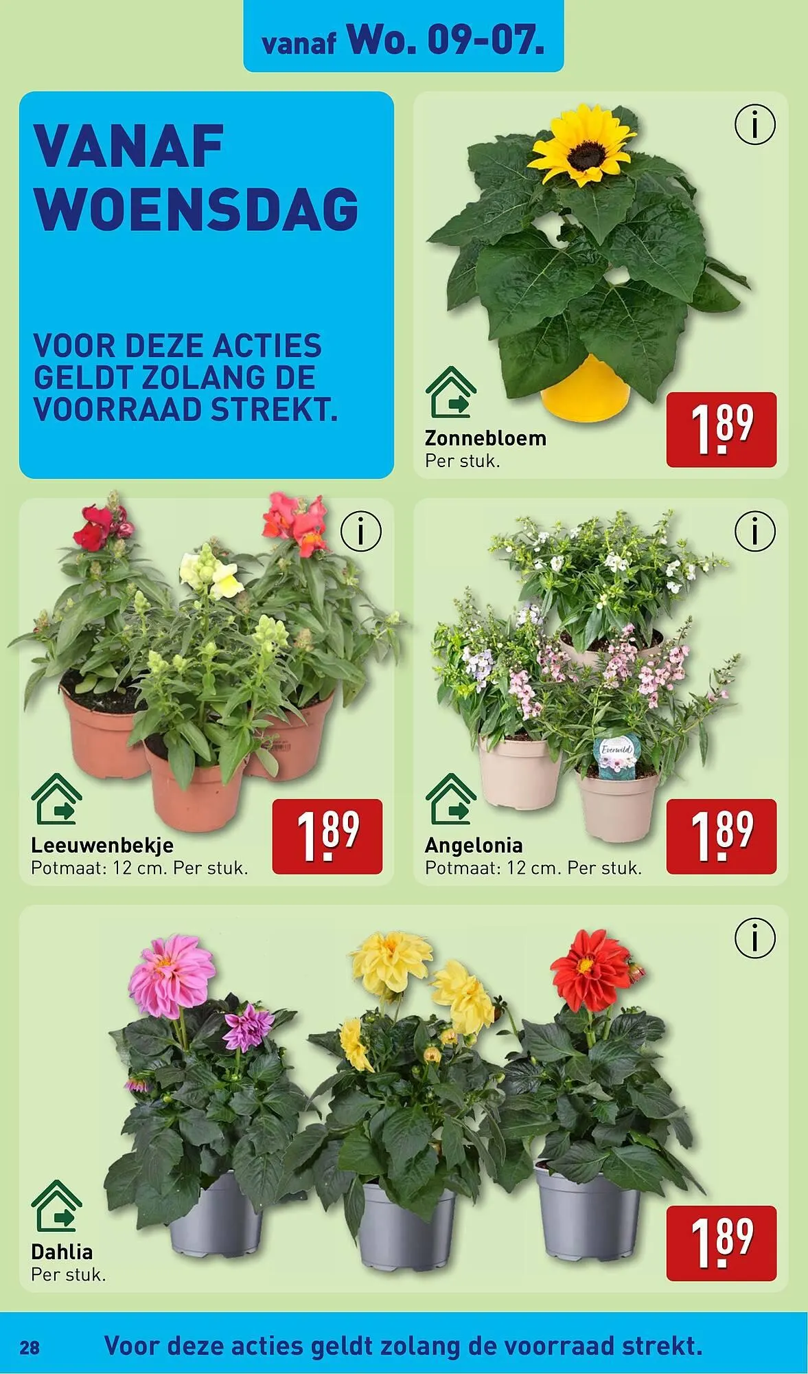 ALDI folder van 7 juli tot 13 juli 2025 - Folder pagina 28