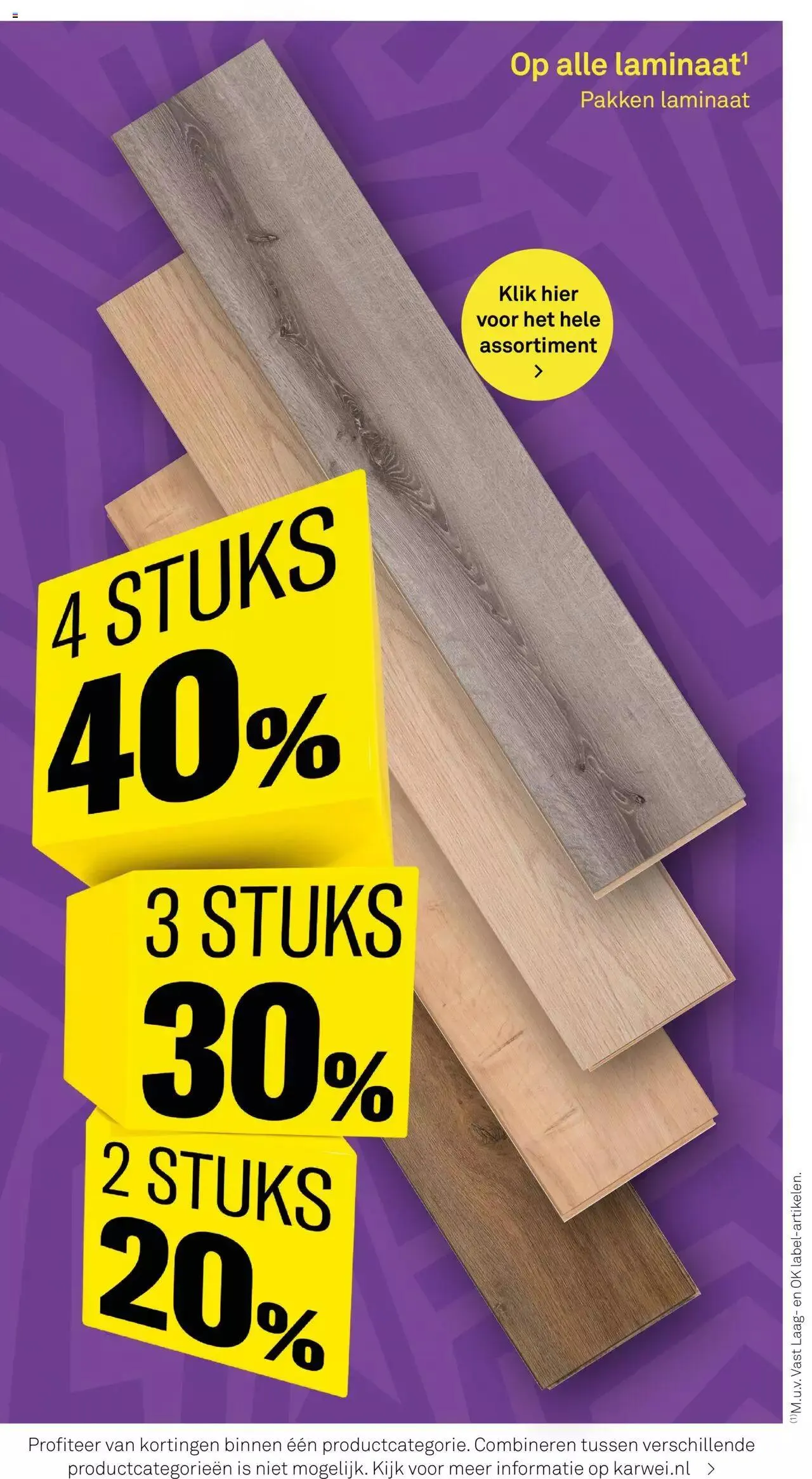 KARWEI - Folder van 7 juli tot 31 december 2024 - Folder pagina 4