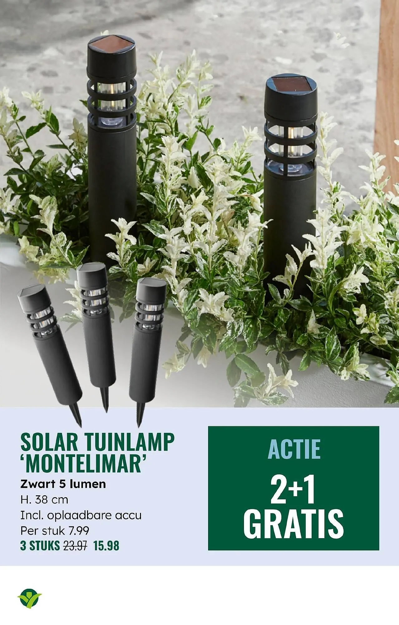 GroenRijk folder van 4 juni tot 17 juni 2025 - Folder pagina 3