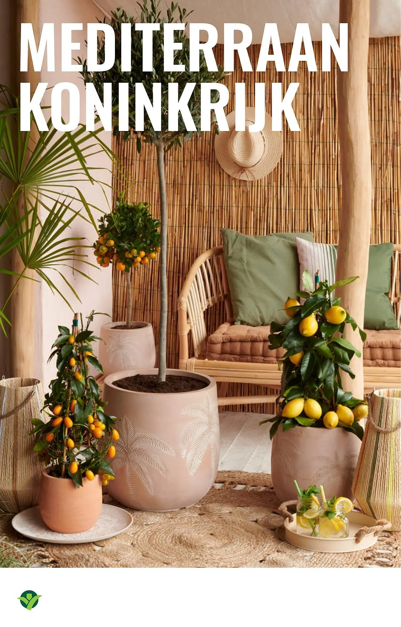 GroenRijk folder van 23 april tot 29 april 2026 - Folder pagina 4