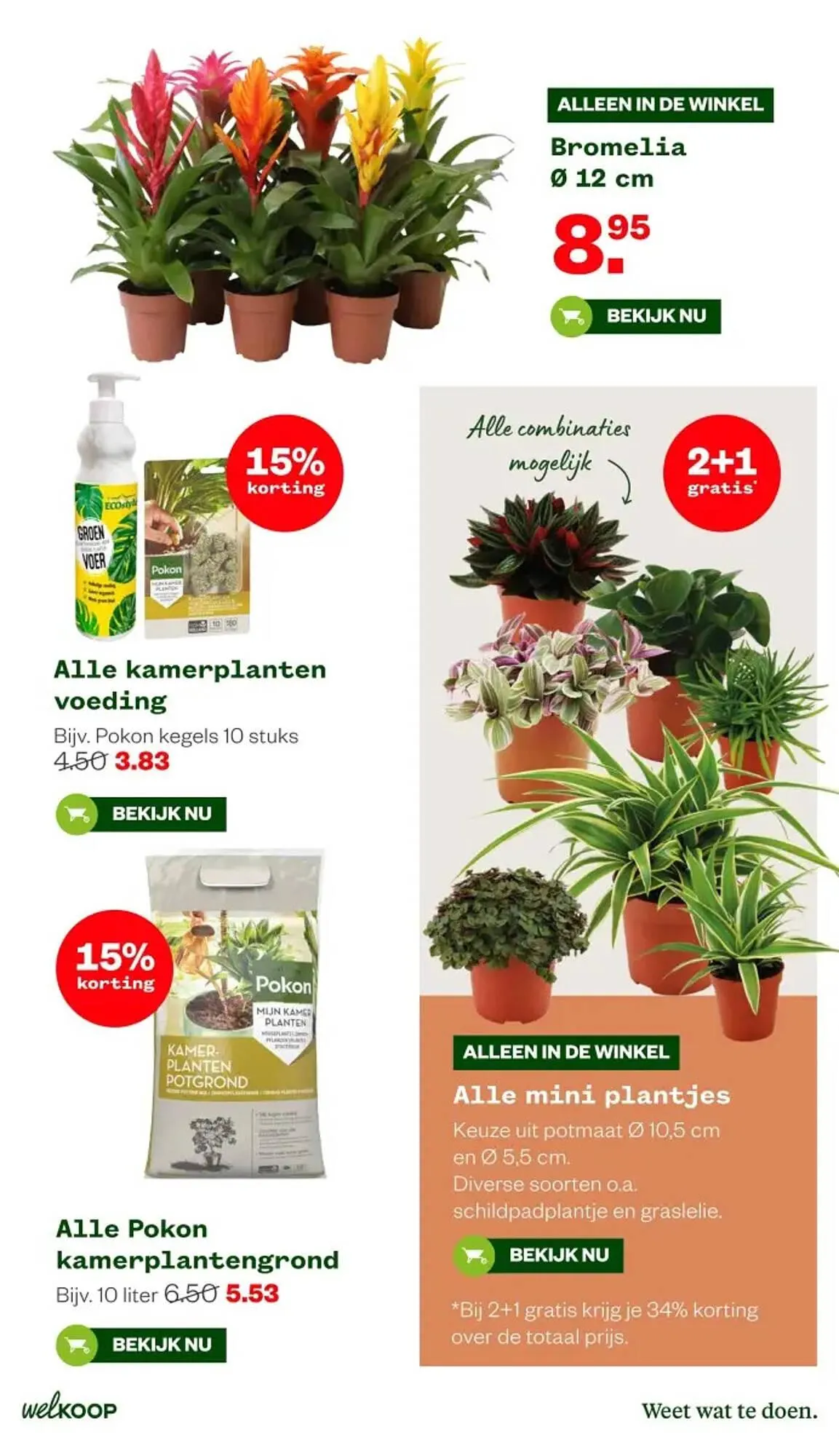 Welkoop folder van 8 september tot 21 september 2025 - Folder pagina 3