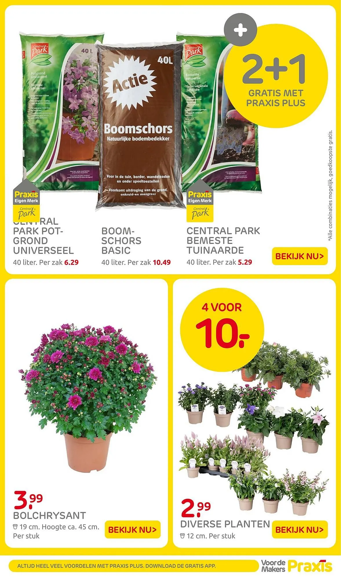 Praxis folder van 11 augustus tot 17 augustus 2025 - Folder pagina 39