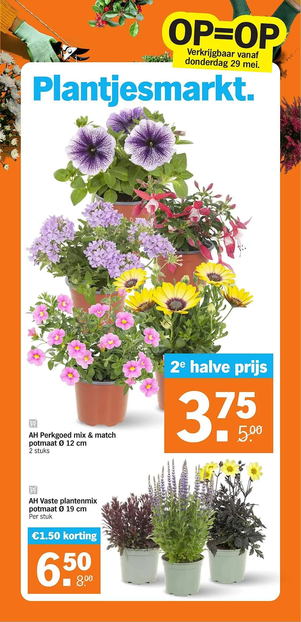 AH XL folder van 26 mei tot 1 juni 2025 - Folder pagina 34