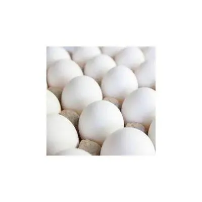 Eiereng Scharreleieren M wit