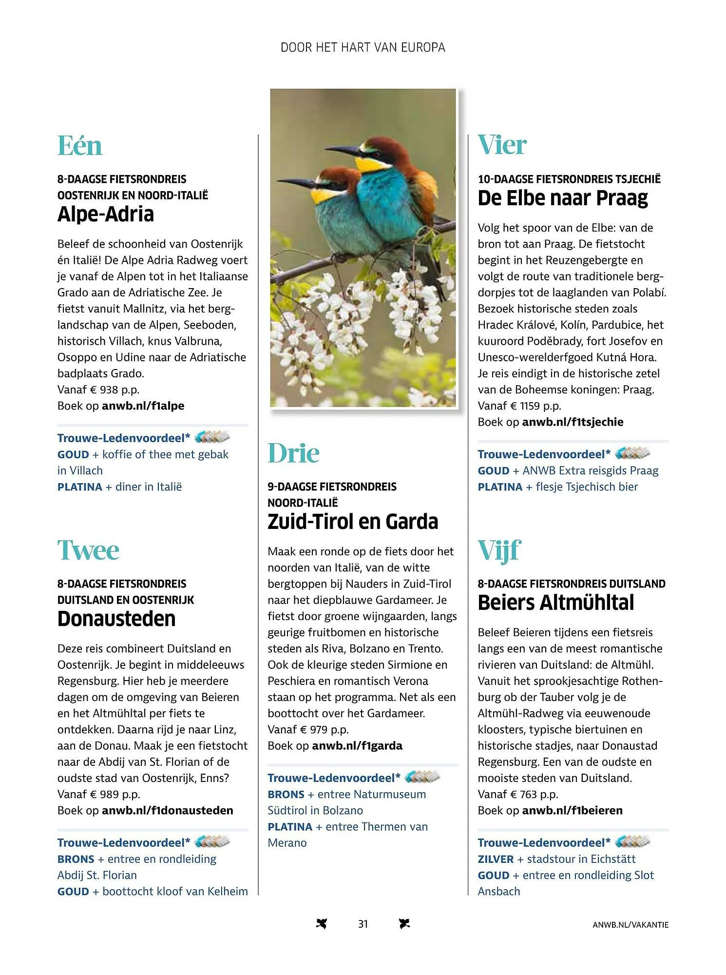 ANWB folder van 6 februari tot 31 december 2025 - Folder pagina 31