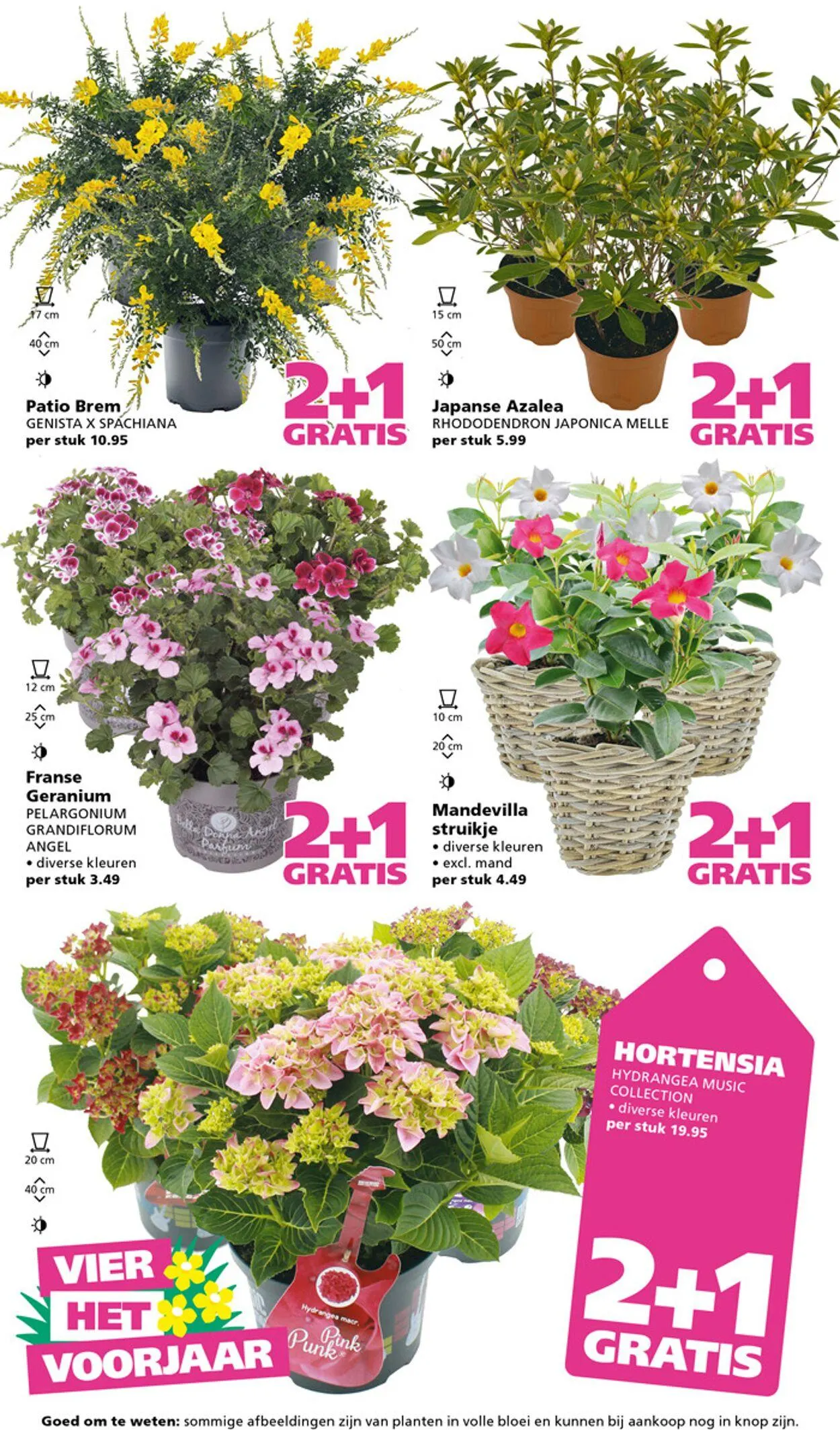 Ranzijn Actuele folder van 6 april tot 19 april 2025 - Folder pagina 3