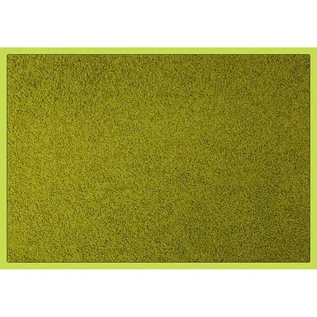 Colorwave Binnenmat Rechthoek 60 x 80 cm - Groen