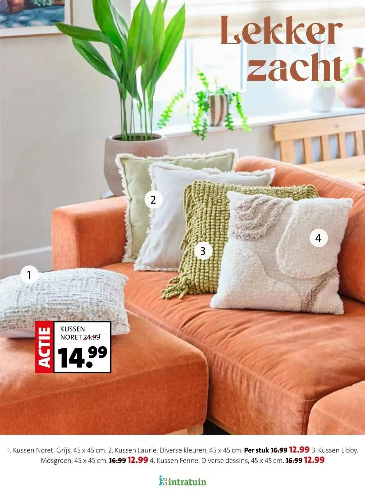 Intratuin folder van 16 februari tot 22 februari 2026 - Folder pagina 2