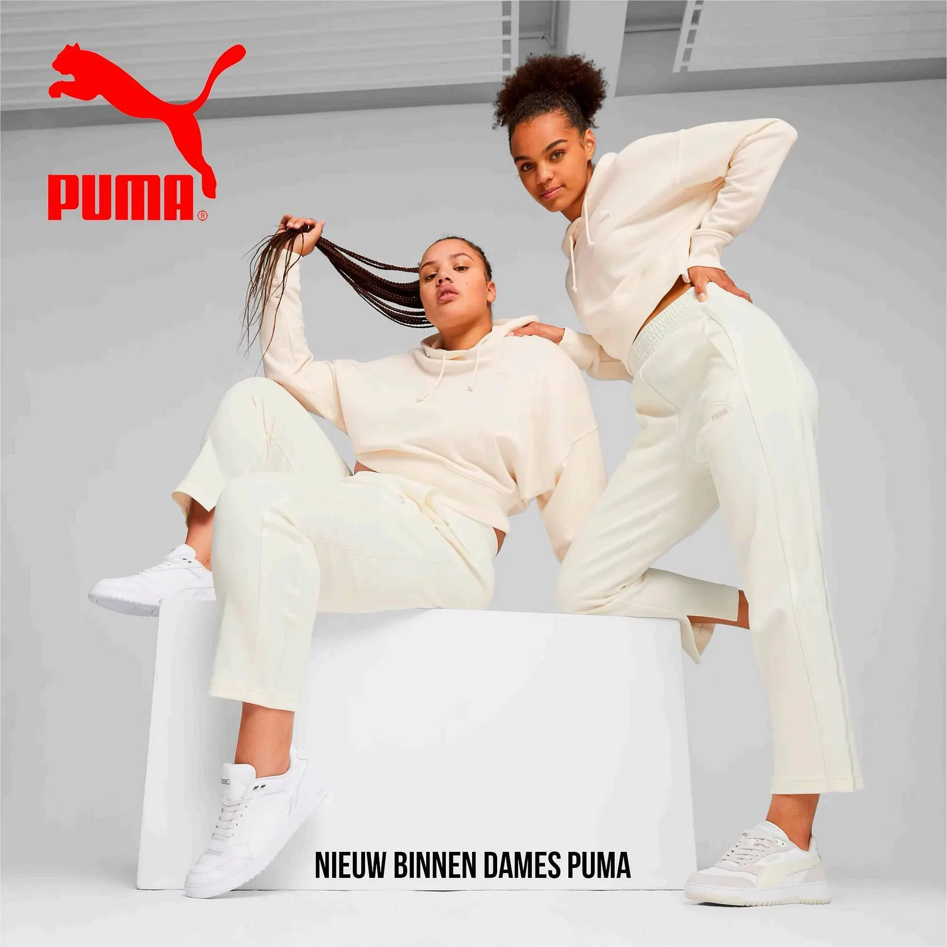 Puma folder - 1
