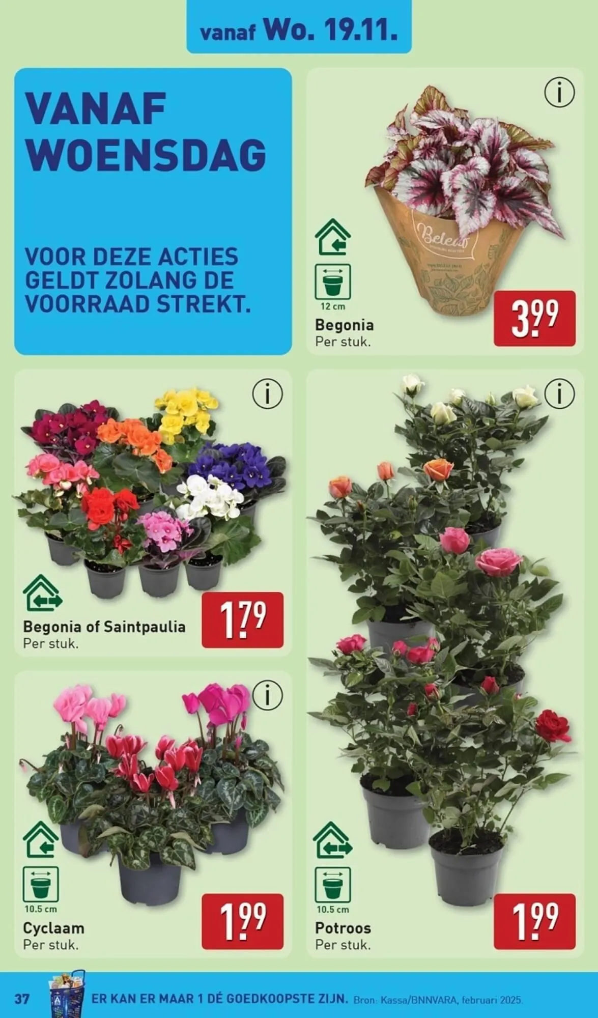ALDI folder van 17 november tot 23 november 2025 - Folder pagina 37