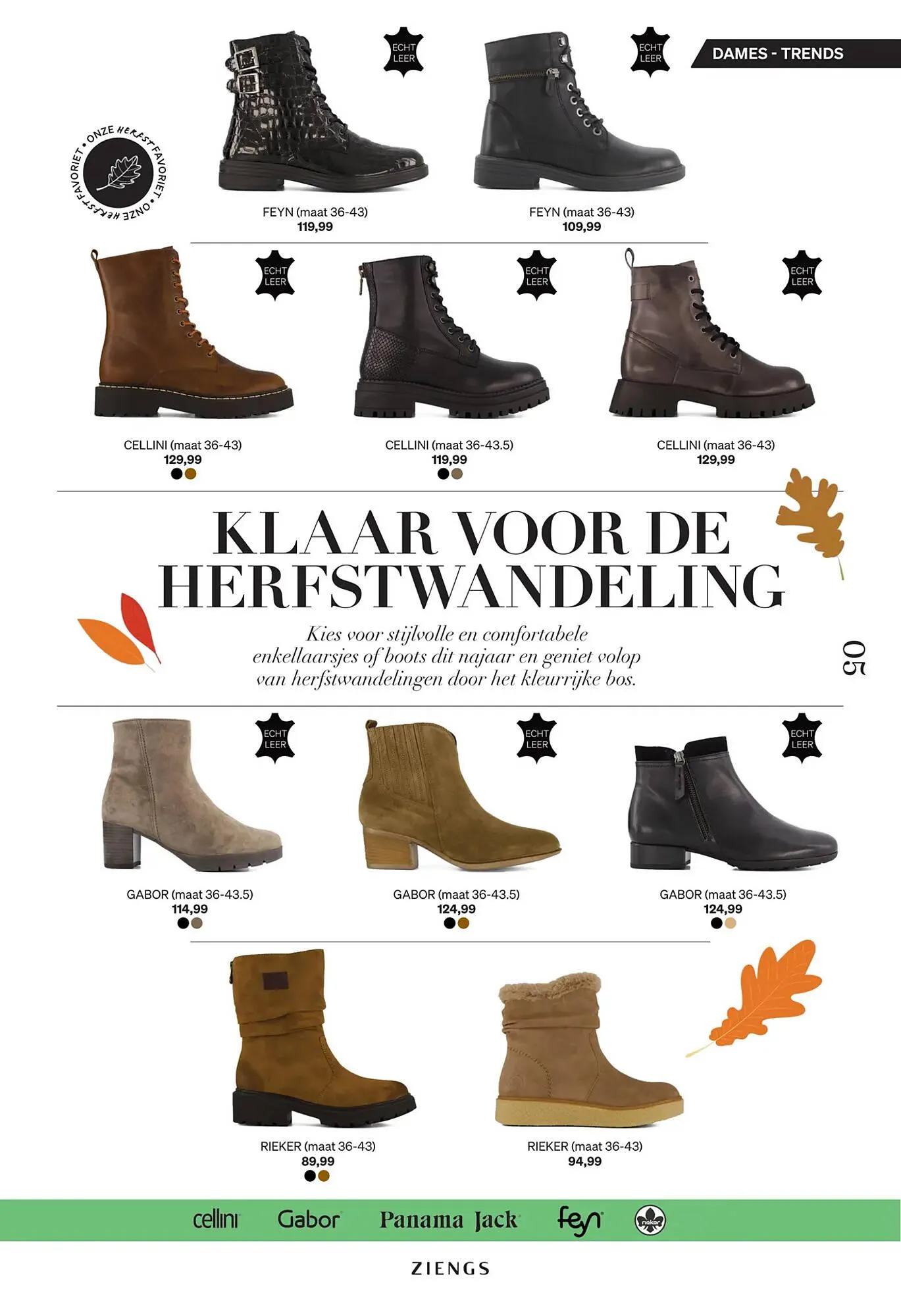 Ziengs folder van 25 oktober tot 10 november 2024 - Folder pagina 5