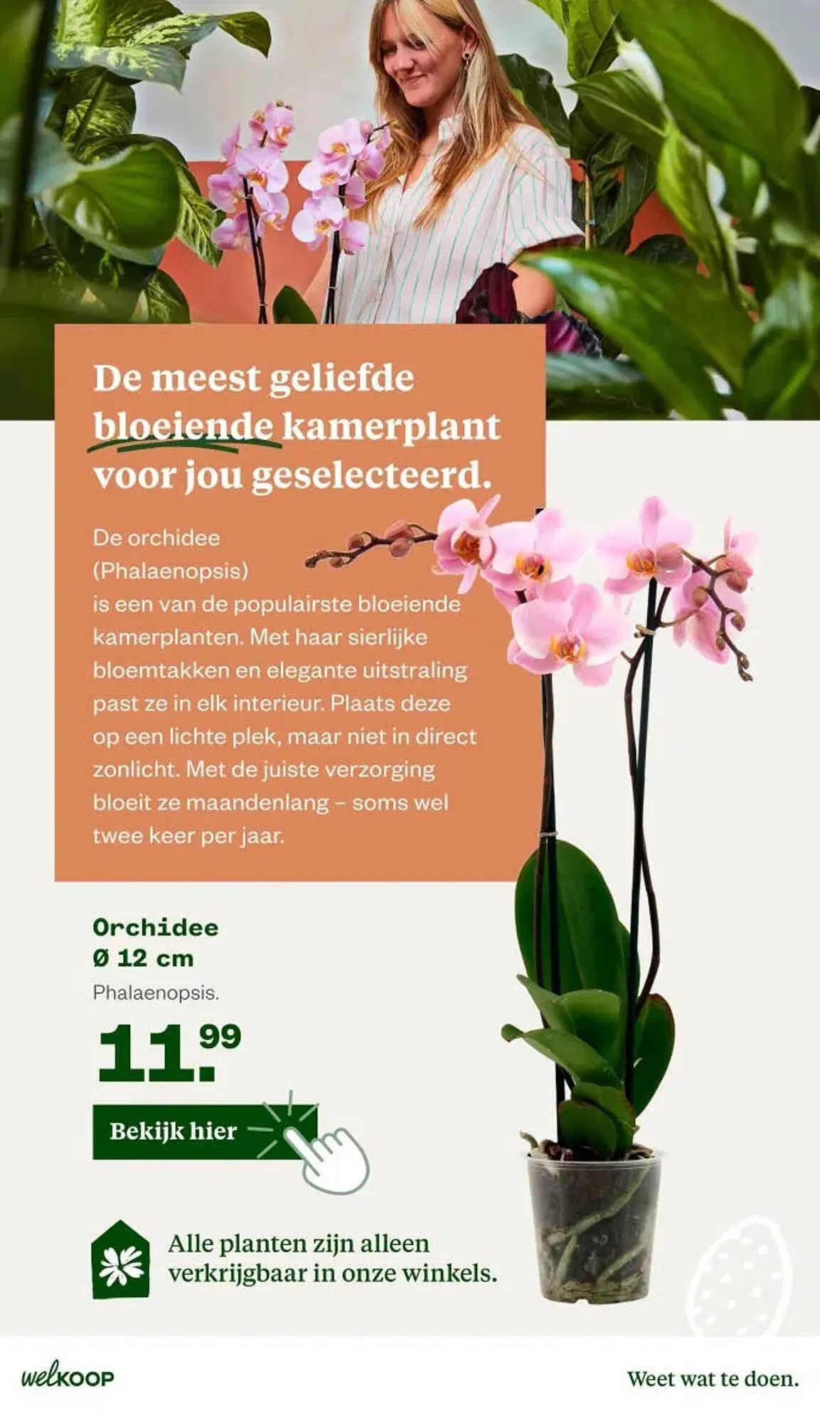 Welkoop folder van 6 april tot 12 april 2026 - Folder pagina 26