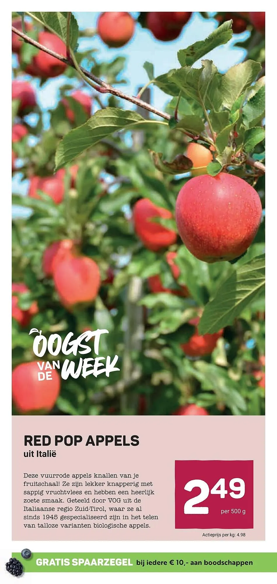 Ekoplaza folder van 26 maart tot 1 april 2025 - Folder pagina 10