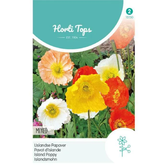 Papaver - IJslandse Papaver